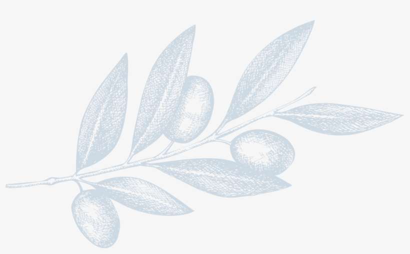 500 Ml - - Illustration, transparent png download