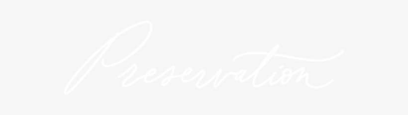 Presentation - Spotify White Logo Png, transparent png download
