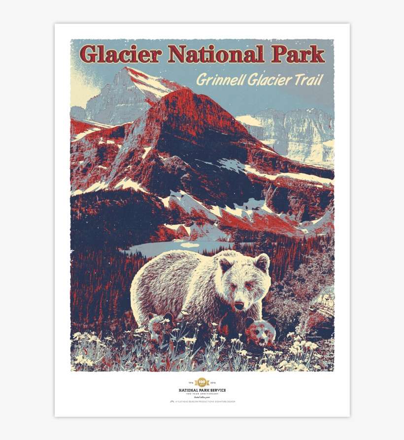 Kodiak Bear, transparent png download