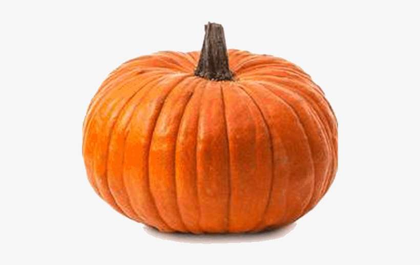 Calabaza - Dibujo De Zapallo, transparent png download
