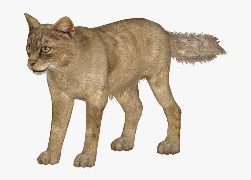 Catjungle Jimmyzhoopz - Zoo Tycoon 2 Domestic Cat, transparent png download