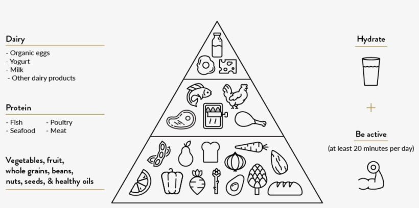 The Dietary Guidelines Will Also Help Steer You Toward - Carbohydrates Food Coloring, transparent png download
