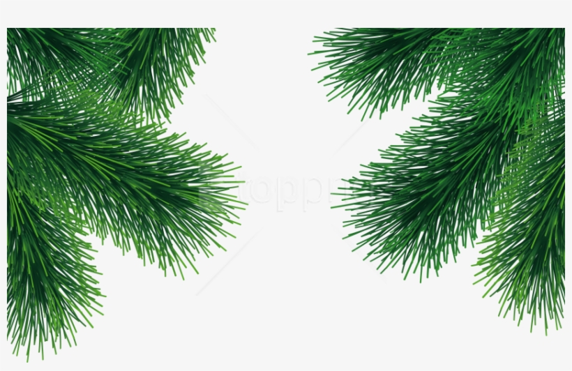 Free Png Download Fir Tree Clipart Png Photo Png Images - Christmas Tree Leaves Transparent, transparent png download