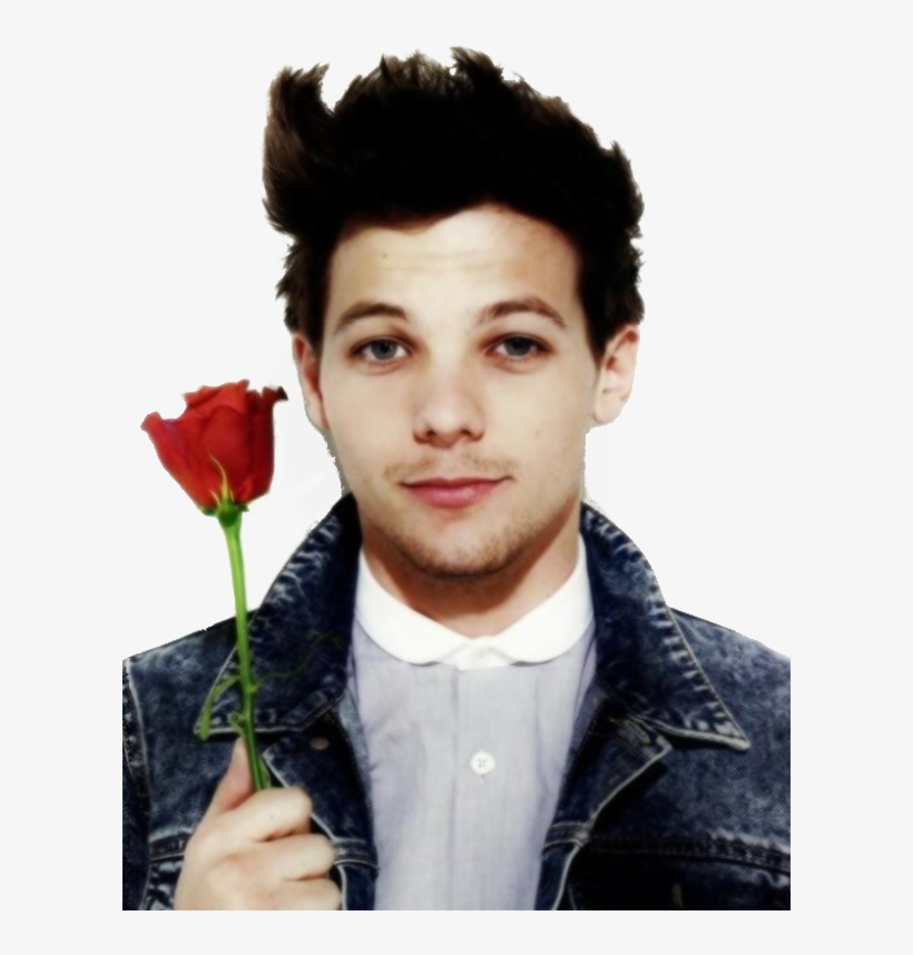 Louis Tomlinson Png - Louis Tomlinson 1d, transparent png download