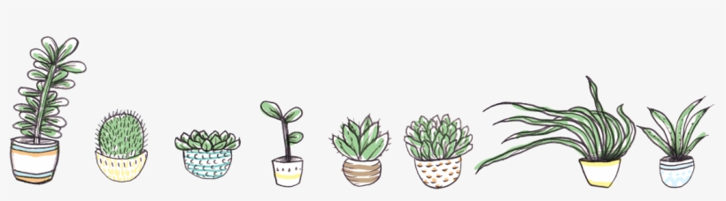 House Plant Png - Plant Banner Png, transparent png download