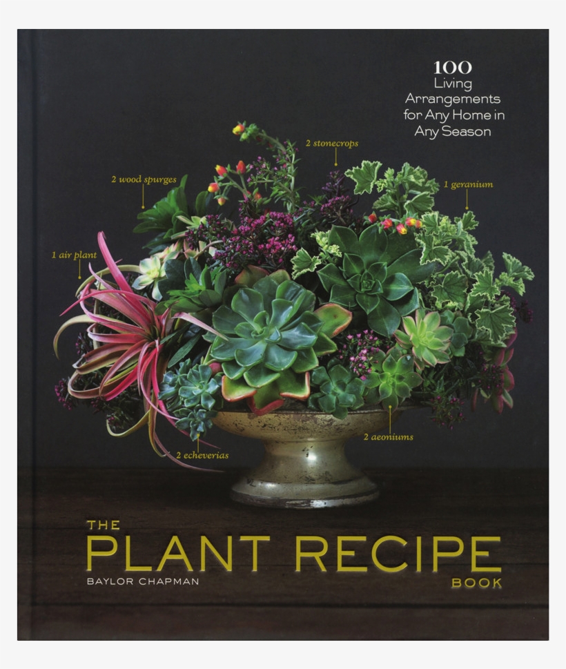 Mother's Day Plant Gifts, transparent png download