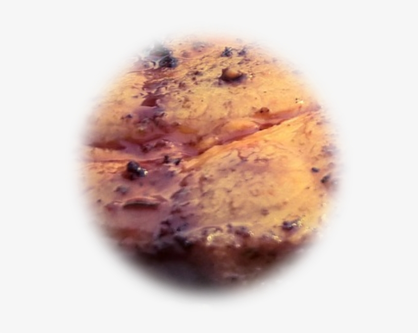 I Had Misgivings At The First Whiff Of Worcestershire - Dish, transparent png download