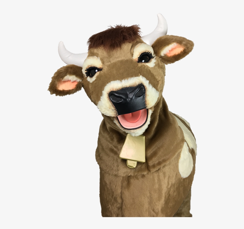 Keep Up To Date With All Our News And Releases - - Calf, transparent png download