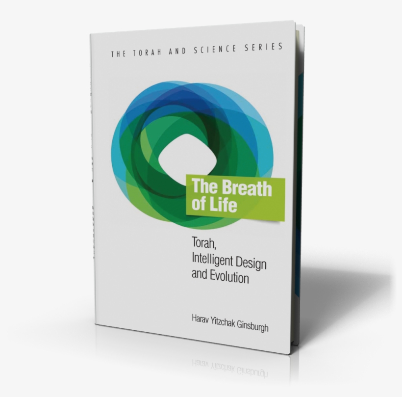 Construction Paper, transparent png download