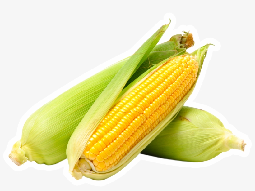 When To Buy - Stock Photo Of Corn, transparent png download