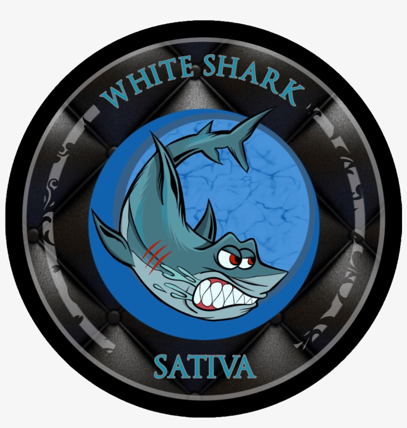 Wall Clock, transparent png download