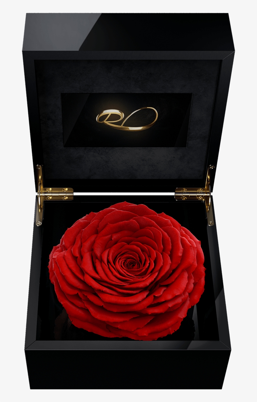 Luxury Video Flower Box Magna With A Xl Preserved Red - Rose, transparent png download