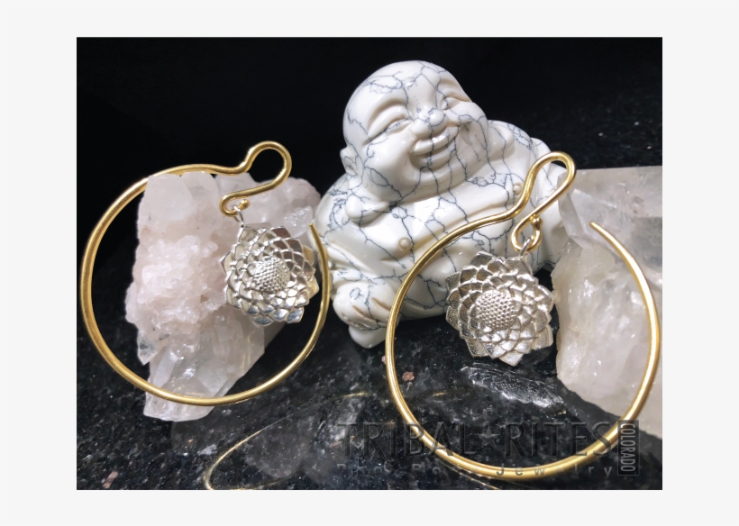Earrings, transparent png download
