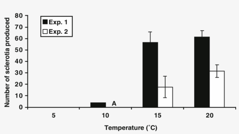 Mean Number Of Sclerotia Of Rhizoctonia Oryzae-sativae - Diagram, transparent png download