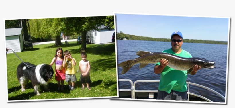 Banner2 - Jigging, transparent png download