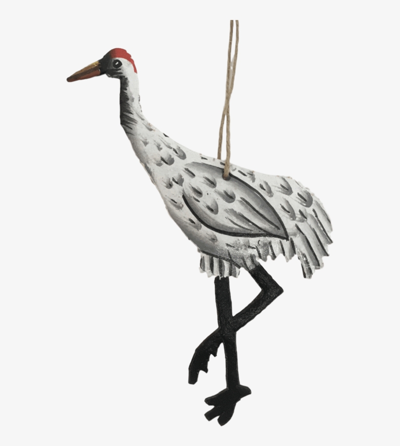 Sandhill Crane, transparent png download