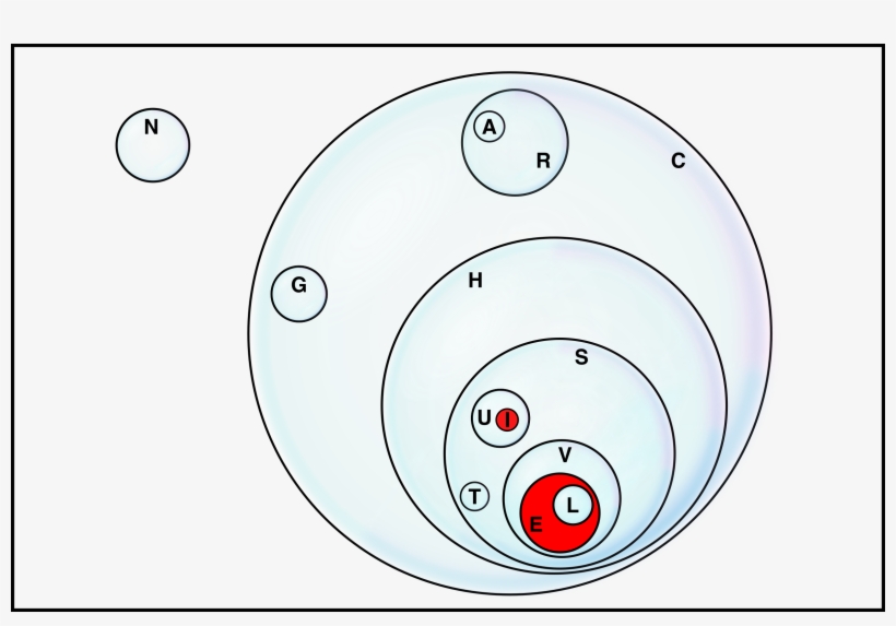 If You Read The Letters Assigned To Each Bubble From - Circle, transparent png download