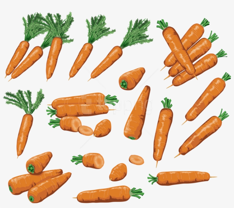 Free Png Download Carrot Clipart Png Photo Png Images - Carrot, transparent png download