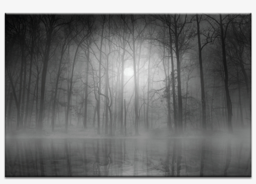 Morning Mist - Mist, transparent png download