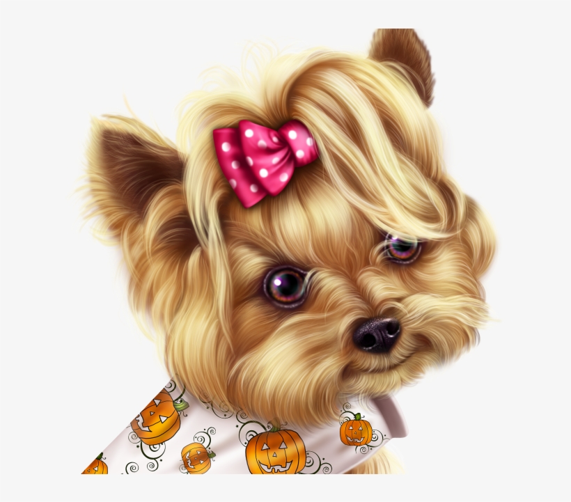 Little Pumpkin Yorkie - Dog, transparent png download