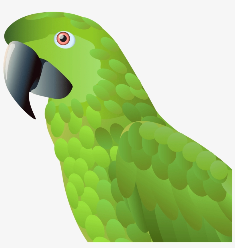 Naija Parrot - Parakeet, transparent png download