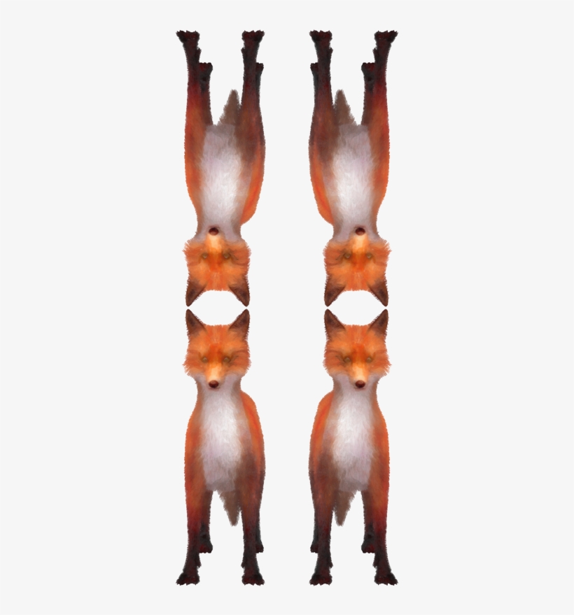 Red Fox, transparent png download