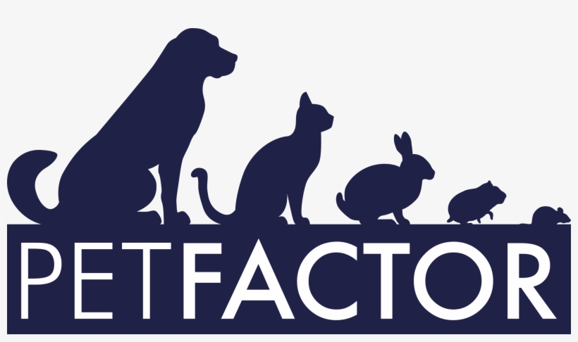 Pet Factor - Wish You Happy Teachers Day, transparent png download