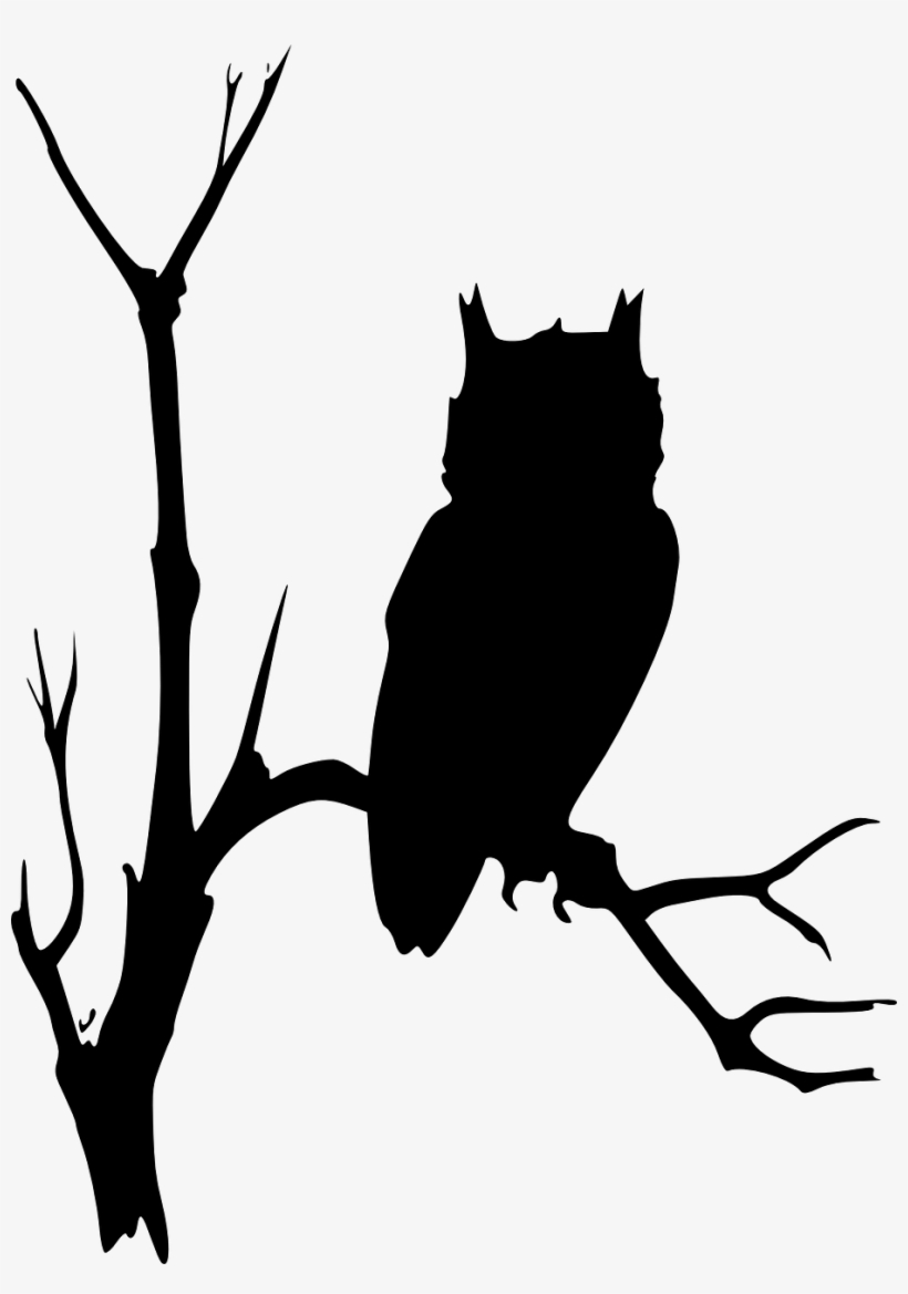 Owl Silhouette PNG Images | PNG Cliparts Free Download on SeekPNG