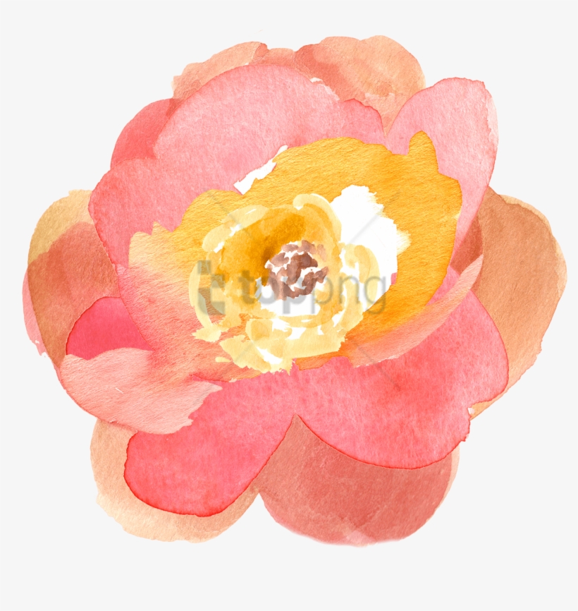 Free Png Download Transparent Watercolor Flowers Png - Flowers Watercolour Peach Pink, transparent png download