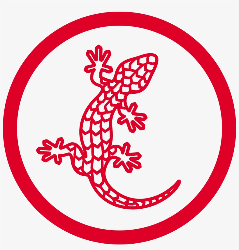 Gekko Gekko Gekko Gekko - Ville De Saint Etienne, transparent png download