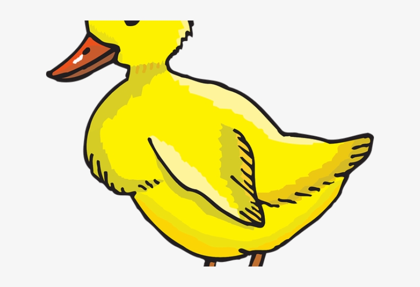 Stock Free On Dumielauxepices Net Duck Tail - Cute Duck Coloring Page, transparent png download