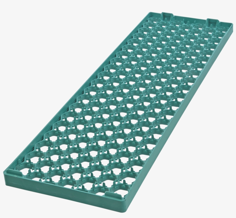 Setter Tray 140 Chicken Eggs - Circle, transparent png download