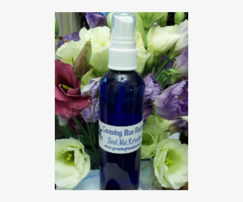 Mists - Cosmetics, transparent png download