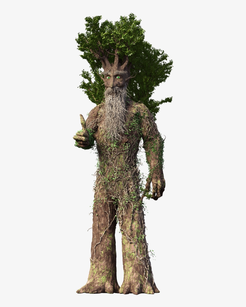 Products Lodgepole Pine PNG Image Transparent PNG Free Download on