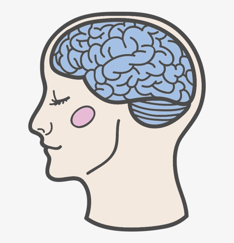 Advanced Coffee Making Course & Certification - Illustration, transparent png download