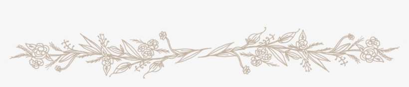 Florals - Sketch, transparent png download