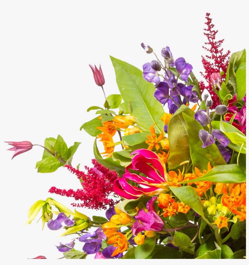 Transparent Png Flower Boutique, transparent png download