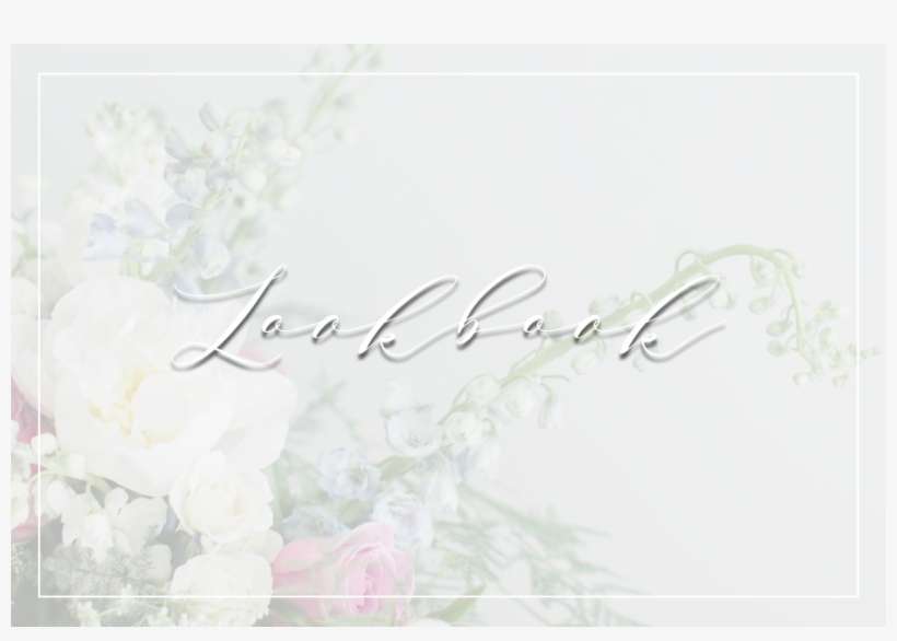 Portfolio - Calligraphy, transparent png download