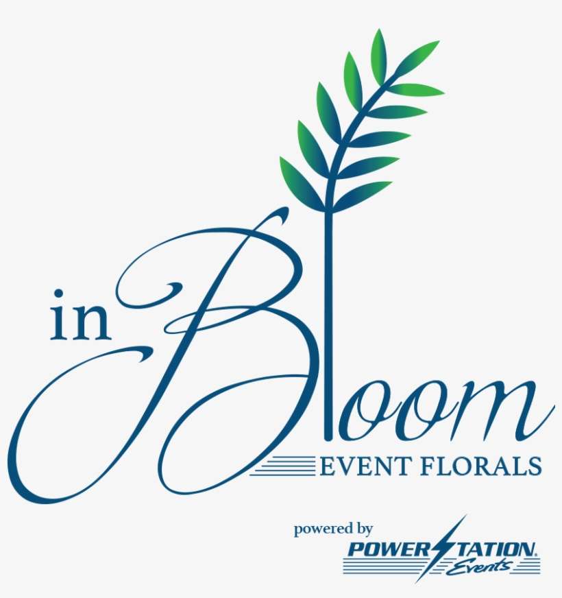 Our Vast Knowledge, Passion And Professionalism Brings - Black Girl Blue [book], transparent png download