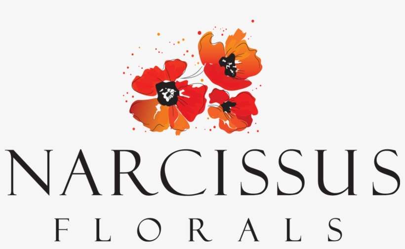 Logo Newest 600 - Illustration, transparent png download