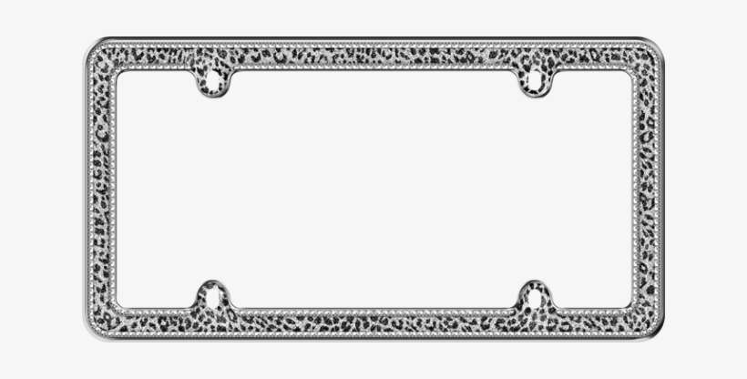 Snow Leopard $24 - Leopard, transparent png download