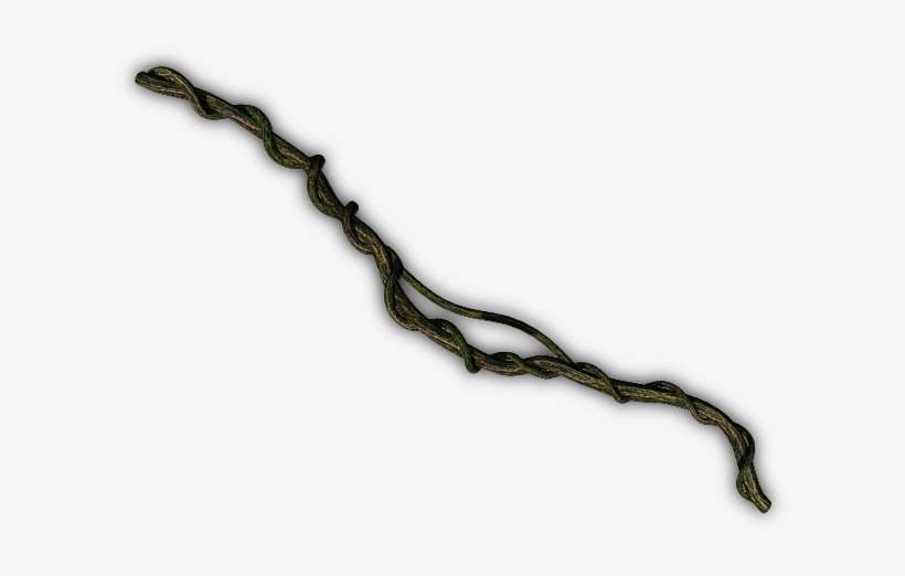 Creeper Plant Jungle Png, transparent png download