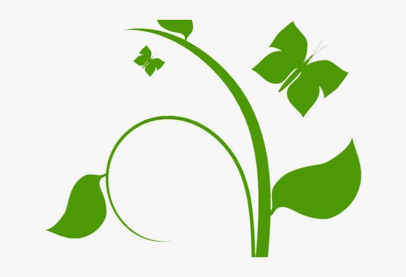 Vines Clipart Flowering Vine - Flower Vine Clip Art, transparent png download