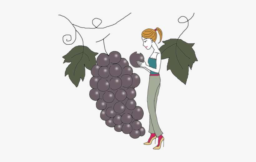 Vine - Grape, transparent png download