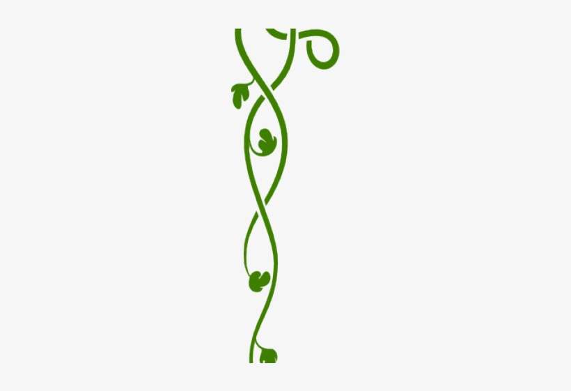 Vines Clipart Celtic - Corner Borders, transparent png download