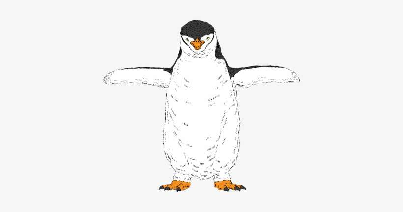 Adã©lie Penguin, transparent png download
