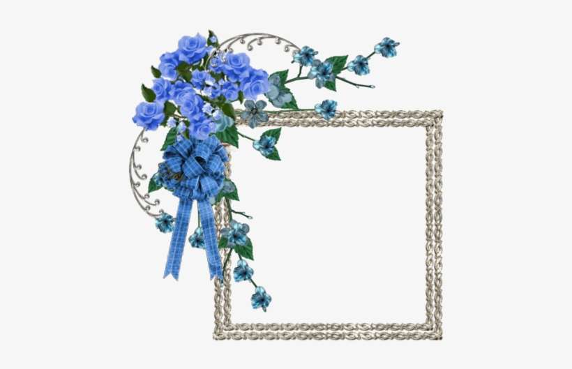 Hydrangea, transparent png download