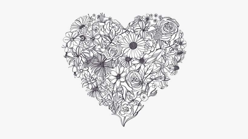 61 Images About Draw On We Heart It - Black And White Transparent Png, transparent png download