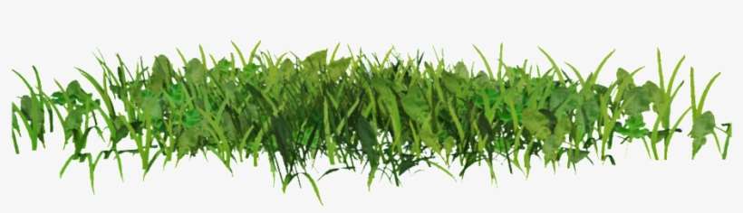 Transparent Ornamental For Green Grass - Grass For Editing, transparent png download