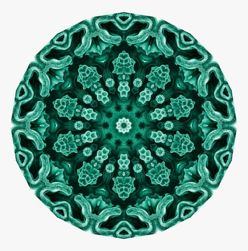 Unicorn El50 Soft Tip Dart Set Crochet Kettler Latex - Framed Poster: Hexacoralla Nature Art Print Poster, transparent png download